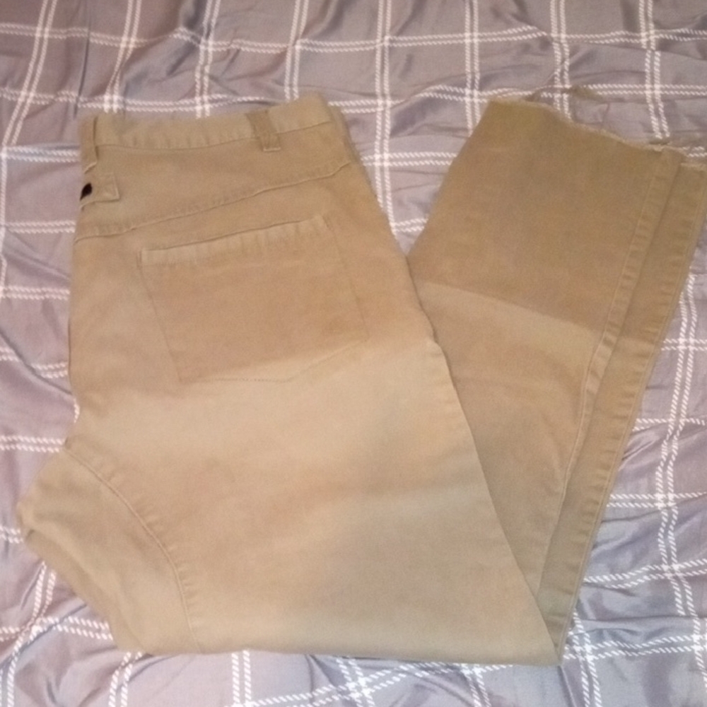 Zanerobe Pants